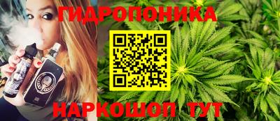 круглые Бийск