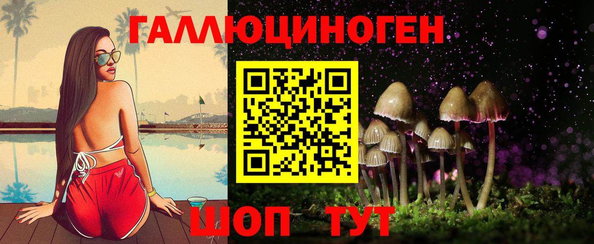 Волгодонск  Псилоцибиновые грибы Magic Shrooms  Вход с VPN 